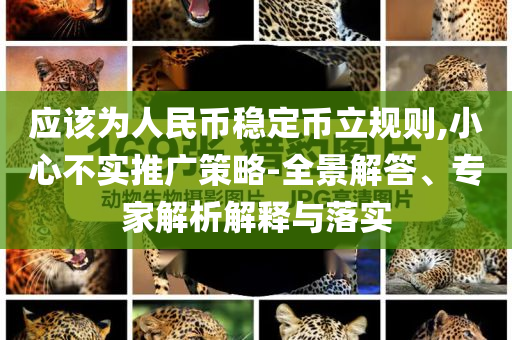 應(yīng)該為人民幣穩(wěn)定幣立規(guī)則,小心不實(shí)推廣策略-全景解答、專家解析解釋與落實(shí)