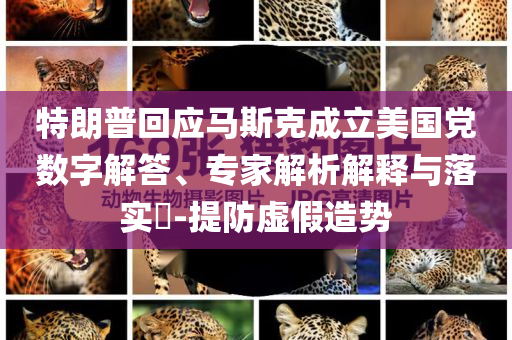 特朗普回應(yīng)馬斯克成立美國黨數(shù)字解答、專家解析解釋與落實(shí)?-提防虛假造勢