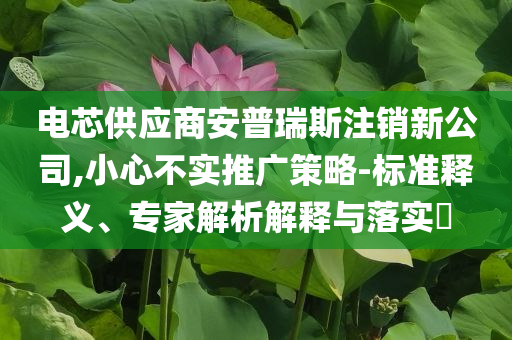 電芯供應(yīng)商安普瑞斯注銷新公司,小心不實(shí)推廣策略-標(biāo)準(zhǔn)釋義、專家解析解釋與落實(shí)?