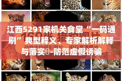 江西5291家機關(guān)食堂“一碼通刷”典型釋義、專家解析解釋與落實?-防范虛假誘騙