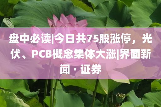 盤中必讀|今日共75股漲停，光伏、PCB概念集體大漲|界面新聞 · 證券