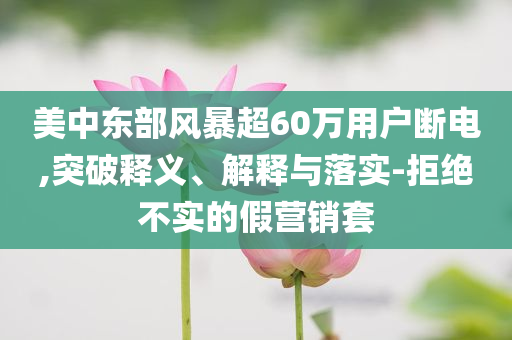 美中東部風(fēng)暴超60萬用戶斷電,突破釋義、解釋與落實-拒絕不實的假營銷套