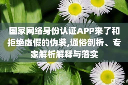 國家網(wǎng)絡身份認證APP來了和拒絕虛假的偽裝,通俗剖析、專家解析解釋與落實