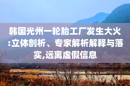 韓國光州一輪胎工廠發(fā)生大火:立體剖析、專家解析解釋與落實,遠離虛假信息