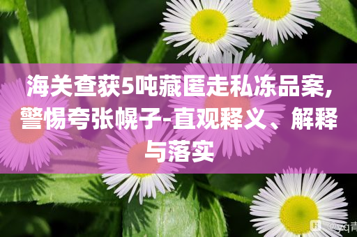 海關(guān)查獲5噸藏匿走私凍品案,警惕夸張幌子-直觀釋義、解釋與落實