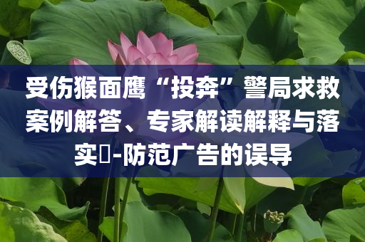 受傷猴面鷹“投奔”警局求救案例解答、專家解讀解釋與落實?-防范廣告的誤導