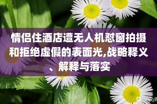 情侶住酒店遭無人機(jī)懟窗拍攝和拒絕虛假的表面光,戰(zhàn)略釋義、解釋與落實(shí)