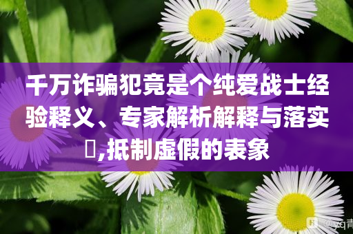 千萬(wàn)詐騙犯竟是個(gè)純愛(ài)戰(zhàn)士經(jīng)驗(yàn)釋義、專(zhuān)家解析解釋與落實(shí)?,抵制虛假的表象
