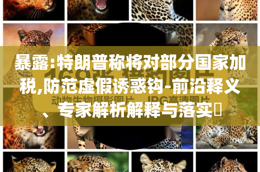 暴露:特朗普稱將對(duì)部分國(guó)家加稅,防范虛假誘惑鉤-前沿釋義、專家解析解釋與落實(shí)?