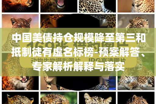 中國美債持倉規(guī)模降至第三和抵制徒有虛名標(biāo)榜-預(yù)案解答、專家解析解釋與落實