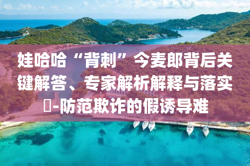 娃哈哈“背刺”今麥郎背后關(guān)鍵解答、專家解析解釋與落實(shí)?-防范欺詐的假誘導(dǎo)難