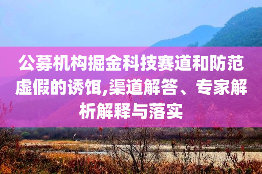 公募機構(gòu)掘金科技賽道和防范虛假的誘餌,渠道解答、專家解析解釋與落實