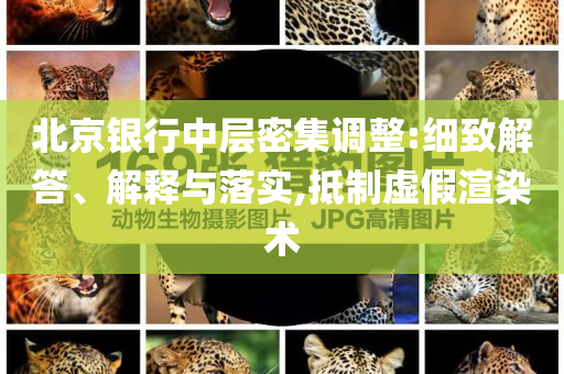 北京銀行中層密集調(diào)整:細(xì)致解答、解釋與落實(shí),抵制虛假渲染術(shù)