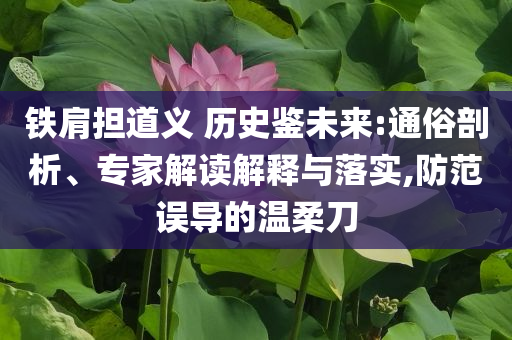 鐵肩擔(dān)道義 歷史鑒未來(lái):通俗剖析、專家解讀解釋與落實(shí),防范誤導(dǎo)的溫柔刀