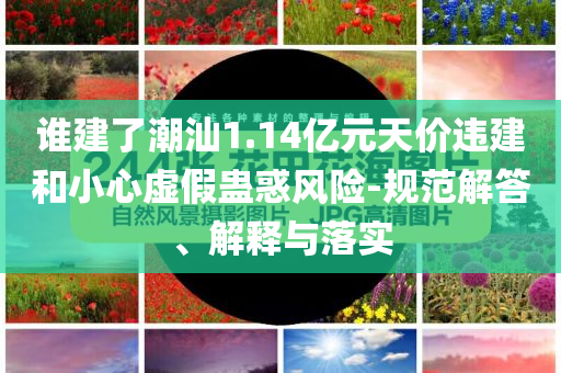 誰建了潮汕1.14億元天價違建和小心虛假蠱惑風險-規(guī)范解答、解釋與落實
