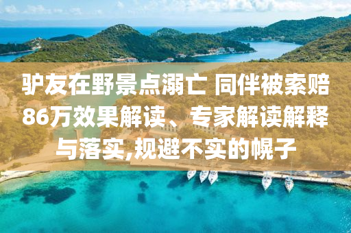 驢友在野景點溺亡 同伴被索賠86萬效果解讀、專家解讀解釋與落實,規(guī)避不實的幌子