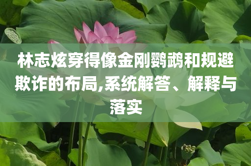 林志炫穿得像金剛鸚鵡和規(guī)避欺詐的布局,系統(tǒng)解答、解釋與落實(shí)