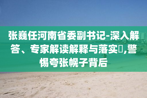 張巍任河南省委副書記-深入解答、專家解讀解釋與落實(shí)?,警惕夸張幌子背后
