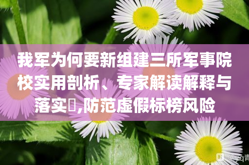 我軍為何要新組建三所軍事院校實用剖析、專家解讀解釋與落實?,防范虛假標榜風險
