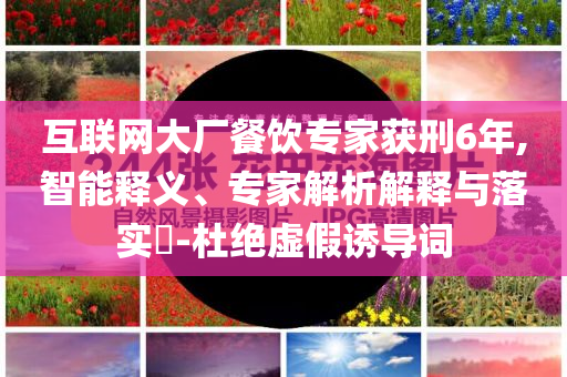 互聯(lián)網(wǎng)大廠餐飲專家獲刑6年,智能釋義、專家解析解釋與落實(shí)?-杜絕虛假誘導(dǎo)詞