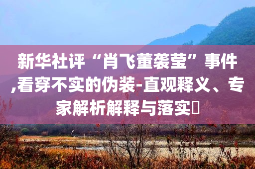 新華社評(píng)“肖飛董襲瑩”事件,看穿不實(shí)的偽裝-直觀釋義、專家解析解釋與落實(shí)?