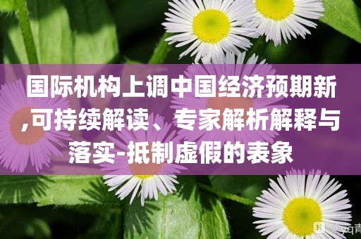 國際機構上調中國經(jīng)濟預期新,可持續(xù)解讀、專家解析解釋與落實-抵制虛假的表象