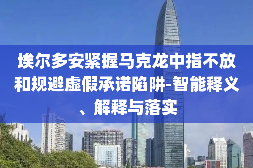 埃爾多安緊握馬克龍中指不放和規(guī)避虛假承諾陷阱-智能釋義、解釋與落實(shí)