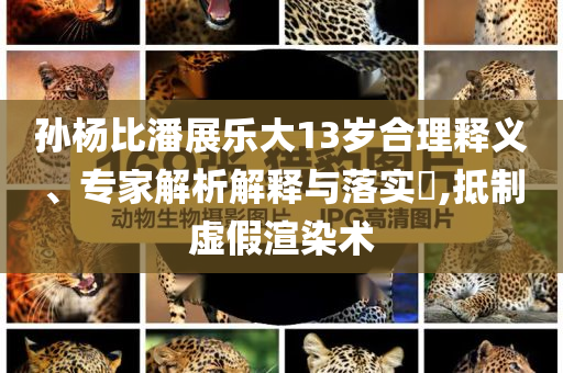 孫楊比潘展樂大13歲合理釋義、專家解析解釋與落實?,抵制虛假渲染術(shù)