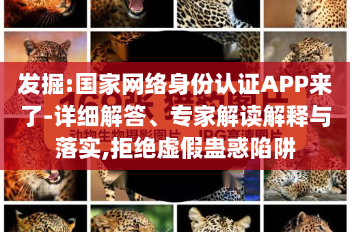 發(fā)掘:國家網(wǎng)絡(luò)身份認證APP來了-詳細解答、專家解讀解釋與落實,拒絕虛假蠱惑陷阱