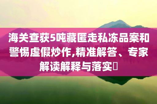 海關(guān)查獲5噸藏匿走私凍品案和警惕虛假炒作,精準(zhǔn)解答、專家解讀解釋與落實(shí)?
