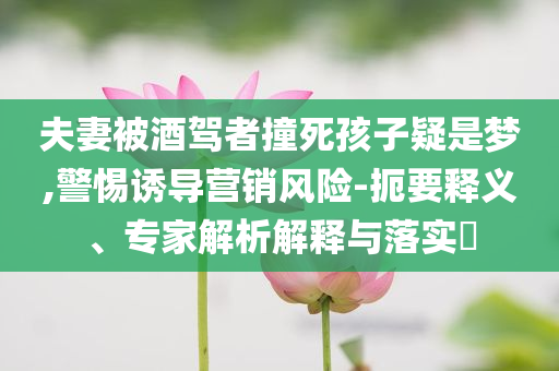 夫妻被酒駕者撞死孩子疑是夢,警惕誘導(dǎo)營銷風(fēng)險-扼要釋義、專家解析解釋與落實?