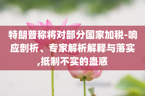 特朗普稱將對部分國家加稅-響應(yīng)剖析、專家解析解釋與落實,抵制不實的蠱惑