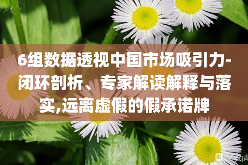 6組數(shù)據(jù)透視中國市場吸引力-閉環(huán)剖析、專家解讀解釋與落實(shí),遠(yuǎn)離虛假的假承諾牌