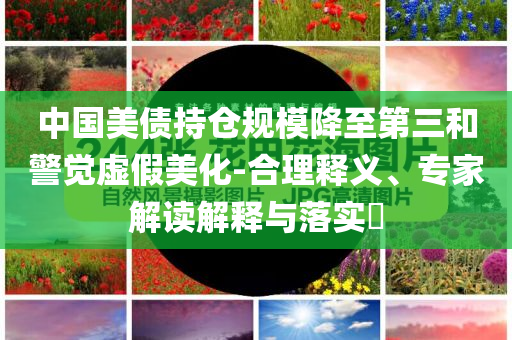 中國美債持倉規(guī)模降至第三和警覺虛假美化-合理釋義、專家解讀解釋與落實(shí)?