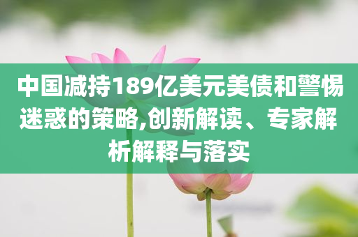 中國(guó)減持189億美元美債和警惕迷惑的策略,創(chuàng)新解讀、專家解析解釋與落實(shí)
