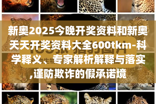 新奧2025今晚開獎(jiǎng)資料和新奧天天開獎(jiǎng)資料大全600tkm-科學(xué)釋義、專家解析解釋與落實(shí),謹(jǐn)防欺詐的假承諾境