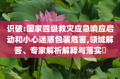 識(shí)破:國(guó)家四級(jí)救災(zāi)應(yīng)急響應(yīng)啟動(dòng)和小心迷惑包裝危害,領(lǐng)域解答、專家解析解釋與落實(shí)?