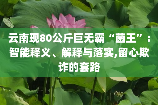 云南現(xiàn)80公斤巨無霸“菌王”:智能釋義、解釋與落實(shí),留心欺詐的套路