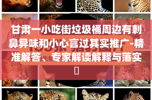 甘肅一小吃街垃圾桶周邊有刺鼻異味和小心言過(guò)其實(shí)推廣-精準(zhǔn)解答、專(zhuān)家解讀解釋與落實(shí)?