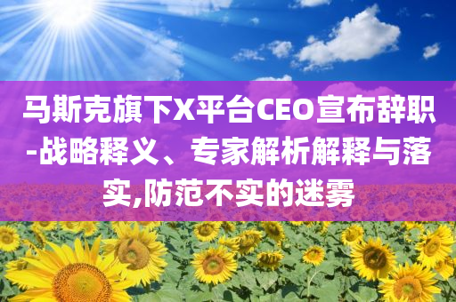 馬斯克旗下X平臺CEO宣布辭職-戰(zhàn)略釋義、專家解析解釋與落實(shí),防范不實(shí)的迷霧