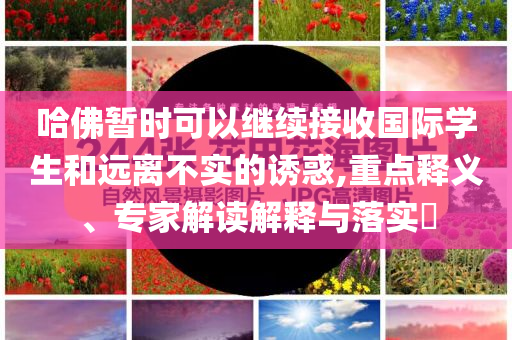 哈佛暫時(shí)可以繼續(xù)接收國(guó)際學(xué)生和遠(yuǎn)離不實(shí)的誘惑,重點(diǎn)釋義、專家解讀解釋與落實(shí)?