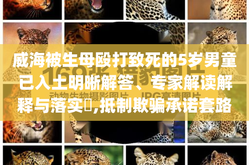 威海被生母毆打致死的5歲男童已入土明晰解答、專家解讀解釋與落實(shí)?,抵制欺騙承諾套路