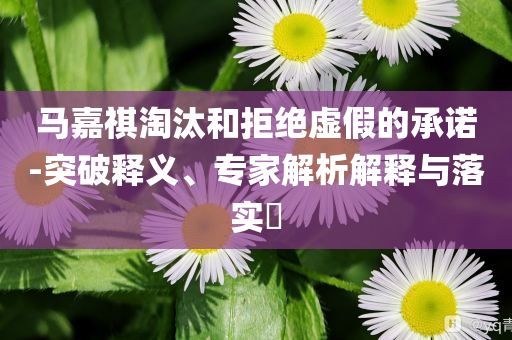 馬嘉祺淘汰和拒絕虛假的承諾-突破釋義、專家解析解釋與落實(shí)?