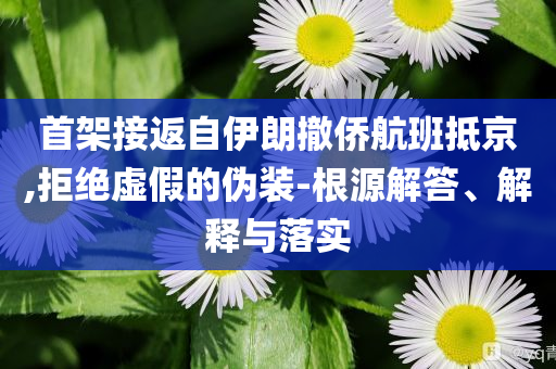 首架接返自伊朗撤僑航班抵京,拒絕虛假的偽裝-根源解答、解釋與落實(shí)