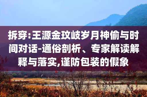 拆穿:王源金玟岐歲月神偷與時間對話-通俗剖析、專家解讀解釋與落實,謹防包裝的假象