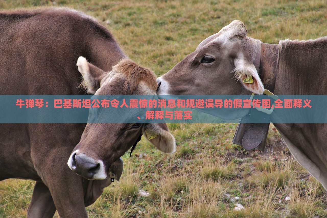 牛彈琴:巴基斯坦公布令人震驚的消息和規(guī)避誤導的假宣傳困,全面釋義、解釋與落實 牛彈琴:巴基斯坦公布令人震驚的消息和規(guī)避誤導的假宣傳困,全面釋義、解釋與落實