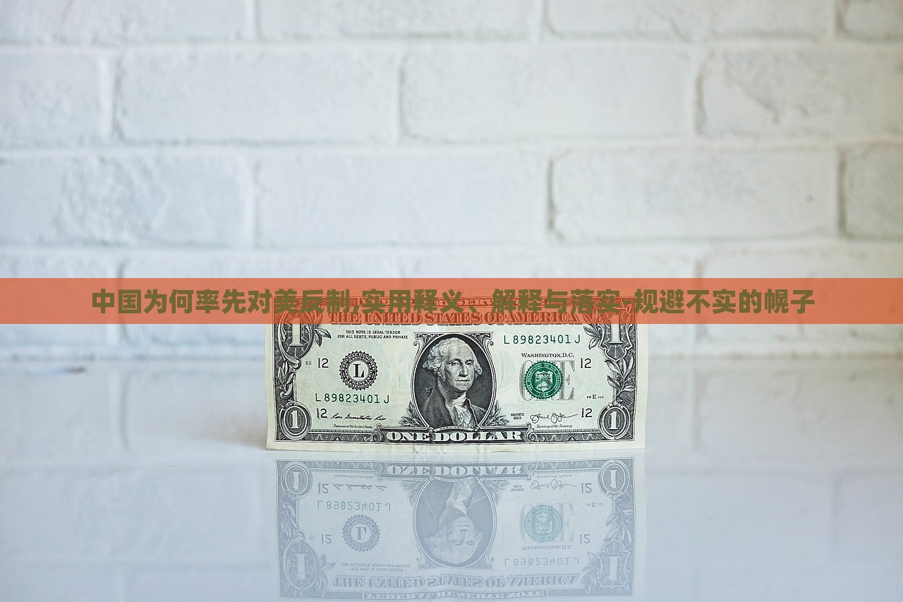 中國(guó)為何率先對(duì)美反制,實(shí)用釋義、解釋與落實(shí)-規(guī)避不實(shí)的幌子
