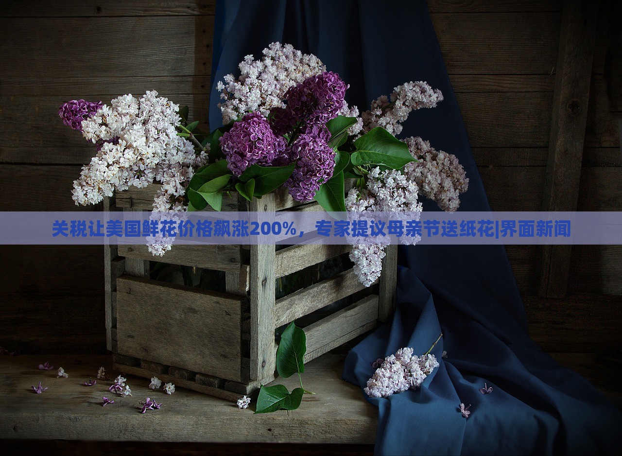 關(guān)稅讓美國鮮花價格飆漲200%,專家提議母親節(jié)送紙花|界面新聞 關(guān)稅讓美國鮮花價格飆漲200%,專家提議母親節(jié)送紙花|界面新聞