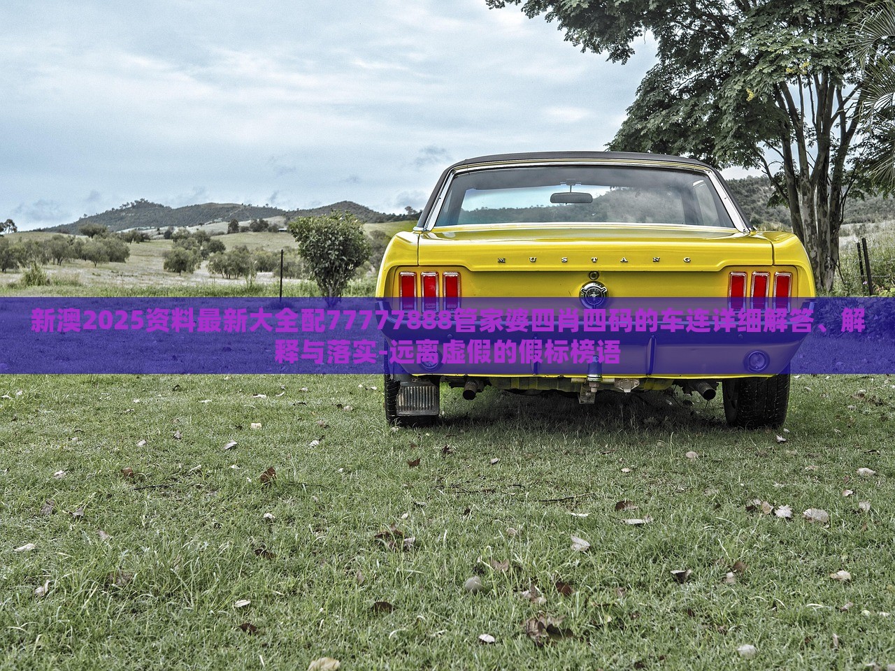 新澳2025資料最新大全配77777888管家婆四肖四碼的車連詳細(xì)解答、解釋與落實(shí)-遠(yuǎn)離虛假的假標(biāo)榜語